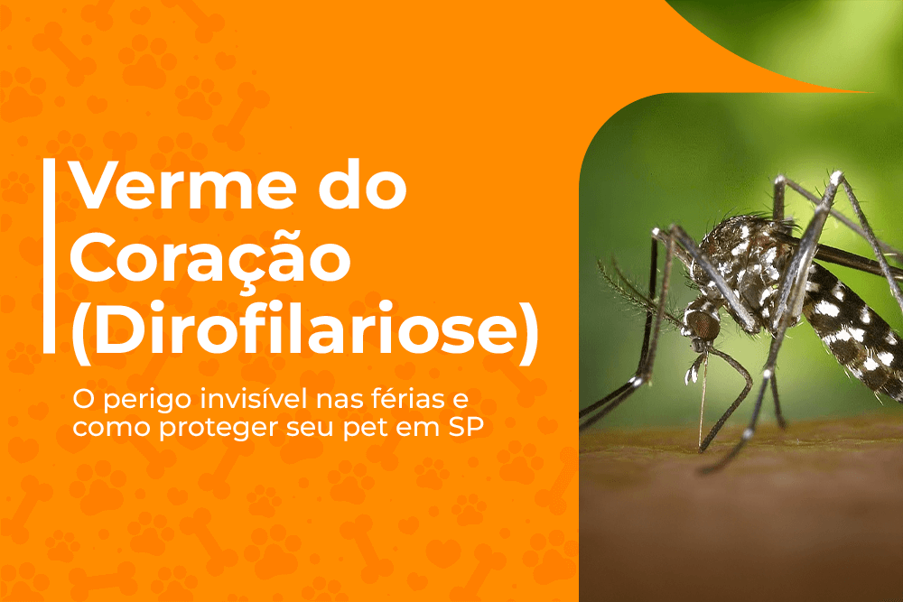 verme do coração dirofilariose