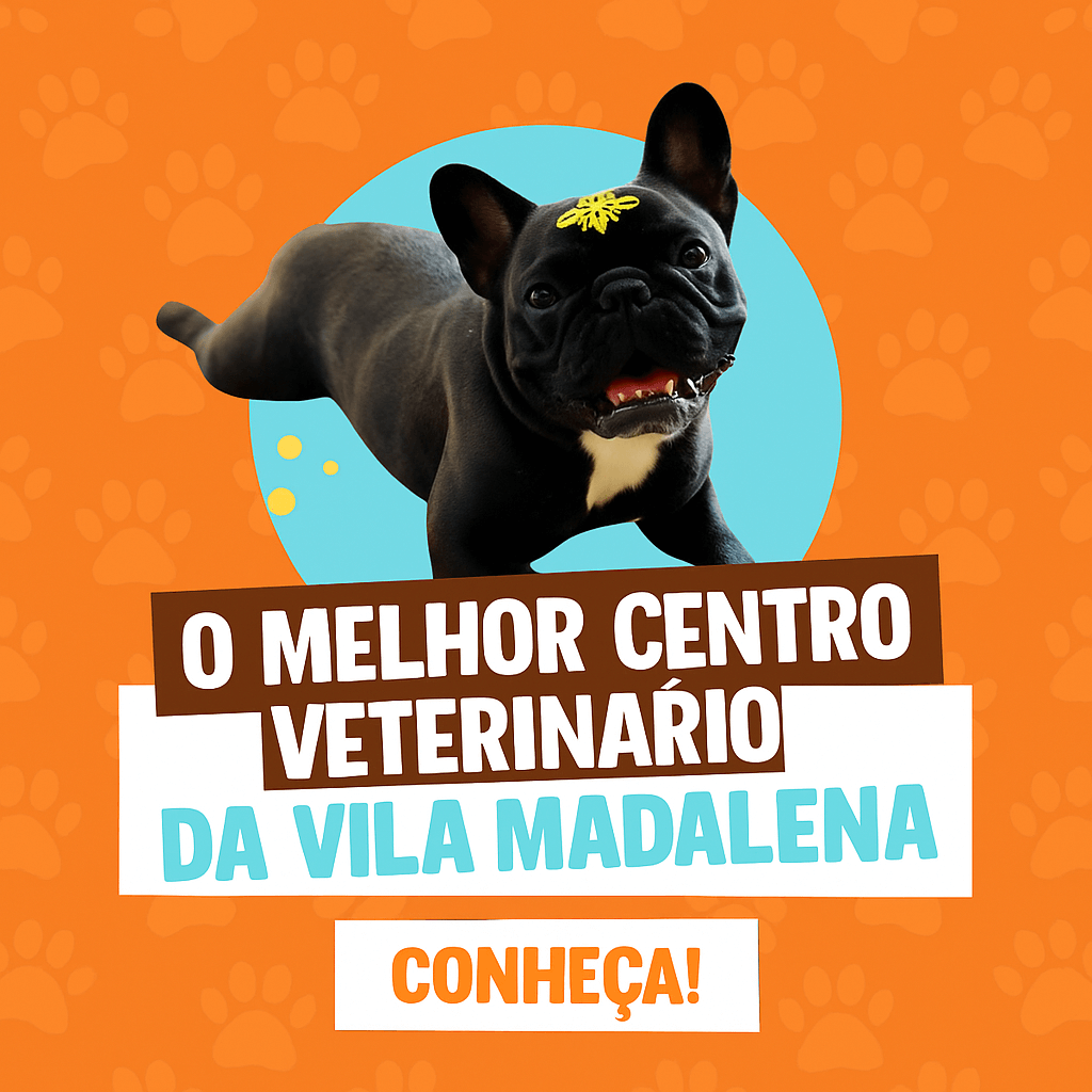 o melhor centro veterinário da vila madalena pet a vet