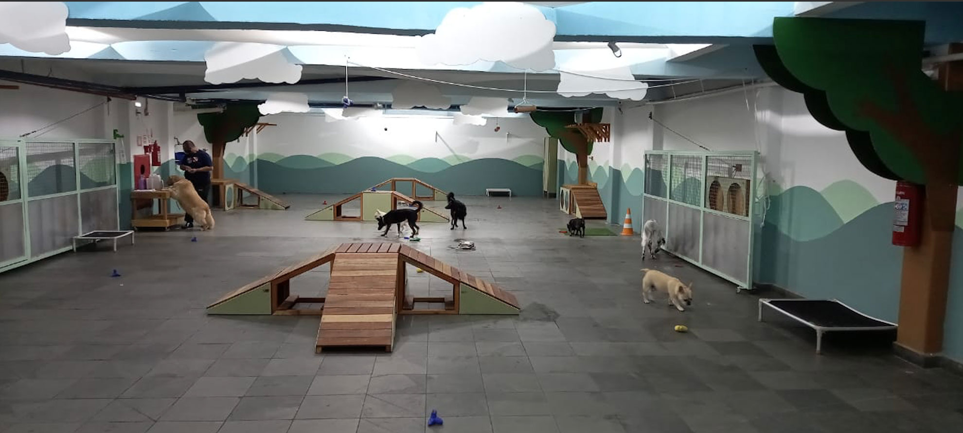 espaço daycare creche para cães pet a vet
