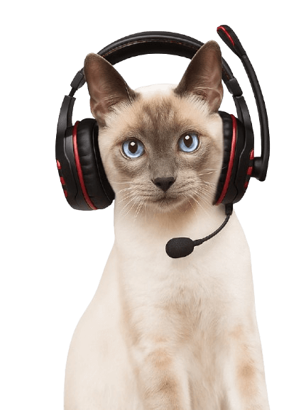 gato com headset atendimento contato pet a vet