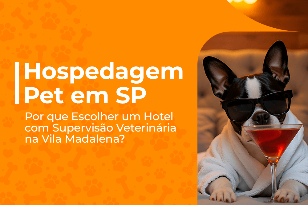 hospedagem pet em sp