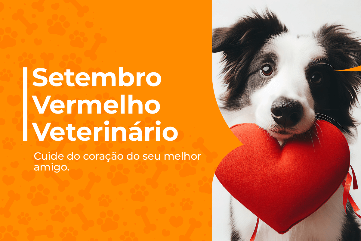 setembro vermelho veterinário
