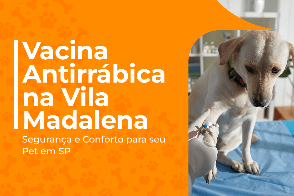 vacina antirrábica vila madalena sp