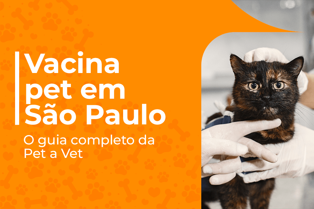 vacina pet em sp guia completo