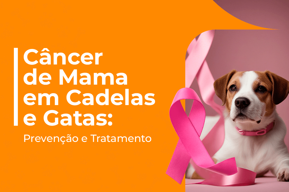 câncer de mama em cadelas e gatas
