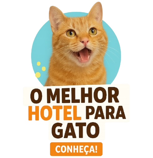 o melhor hotel para gatos pinheiros pet a vet