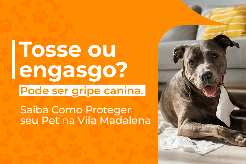 Tosse ou Engasgo pode ser Gripe Canina