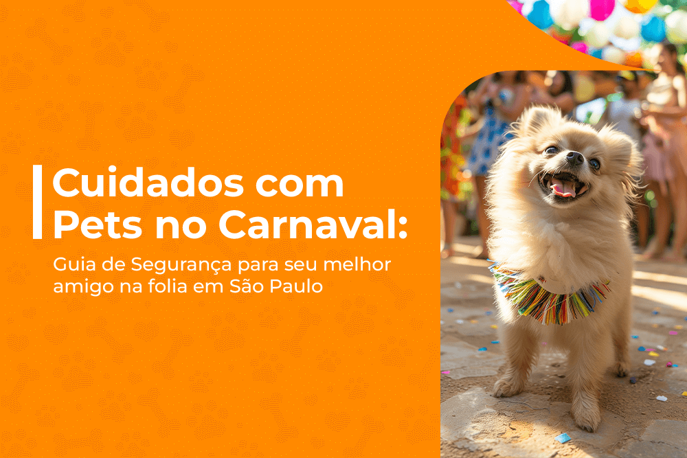 cuidados com pets no carnaval