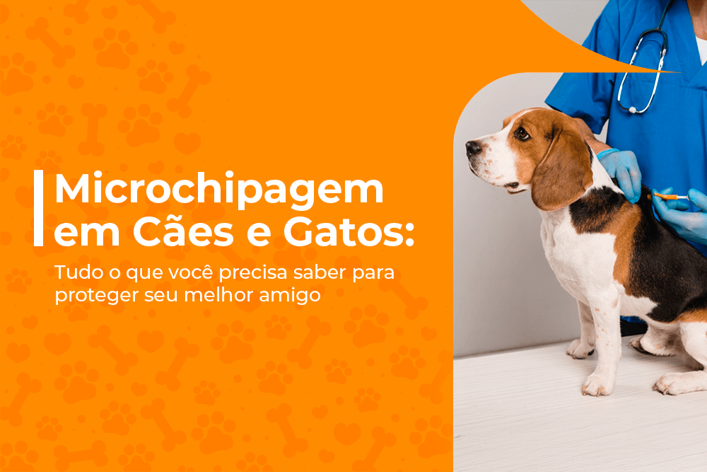 microchipagem em caes e gatos