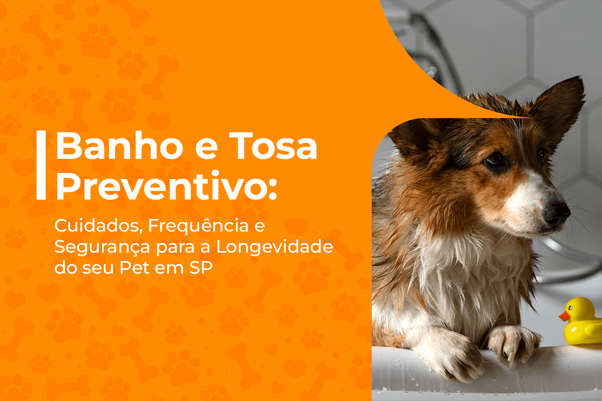 Banho e Tosa preventivo sp pet a vet