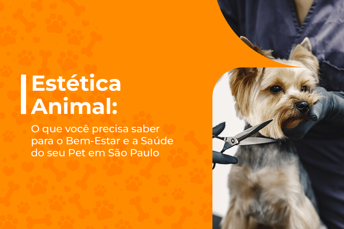 estética animal bem estar pet são paulo