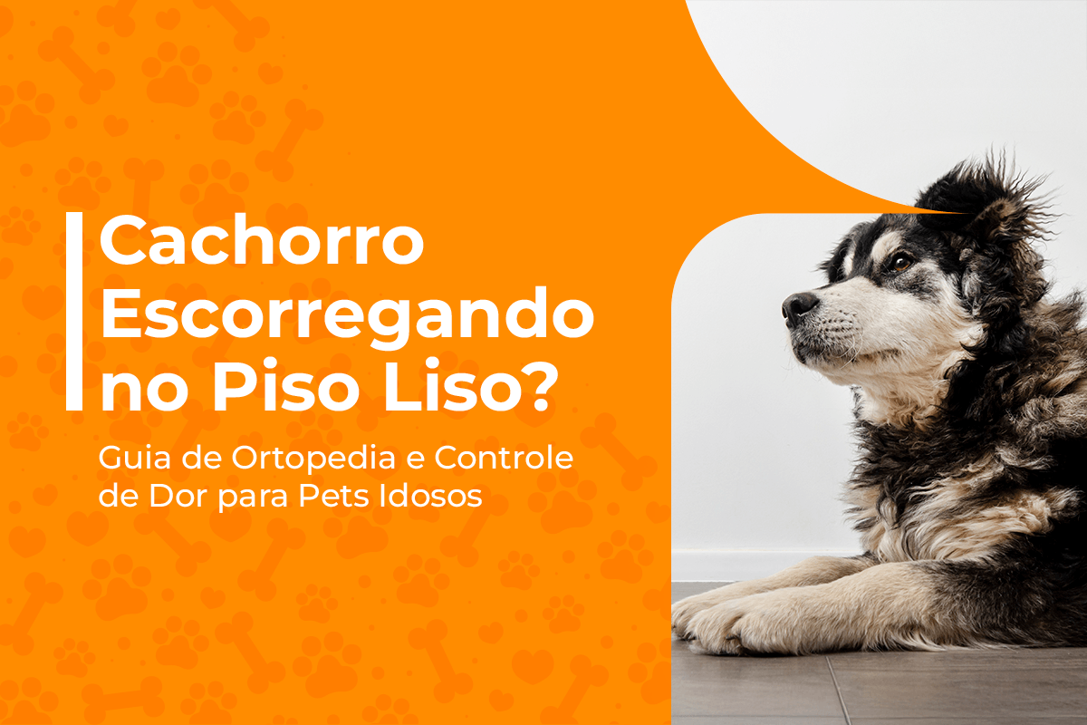 Cachorro Escorregando no Piso Liso? Guia de Ortopedia e Controle de Dor para Pets Idosos