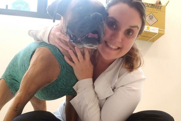 hotel para cães pet a vet