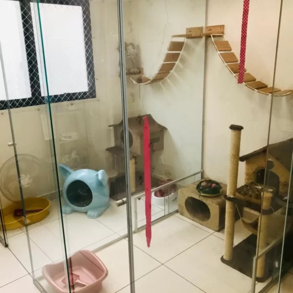 suítes individuais hotel para gatos pet a vet